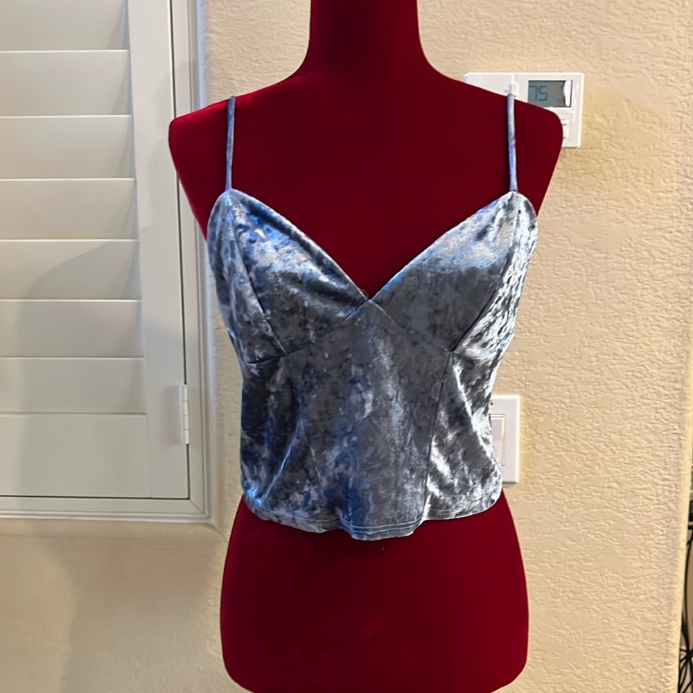 Free People Velvet Corset Top